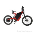 SS30 Enduro Ebike 3000W 5000W Bomber Stealth Motorcycle